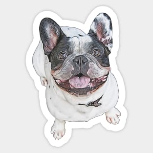 Pied French Bulldog Sticker